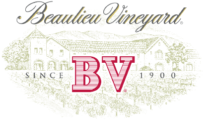 bv-logo