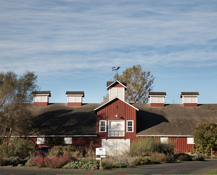 Frog's Leap Winery