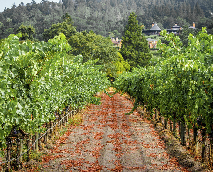 Rutherford Ranch Winery Napa Valley Tasting Room